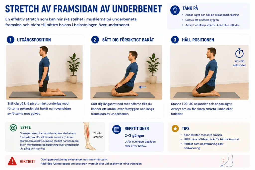 Knästående stretch av tibialis anterior och underbenets framsida vid benhinneinflammation.