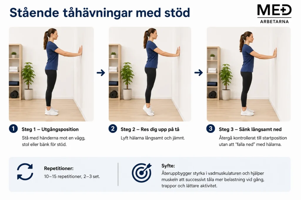 Stående tåhävningar med stöd för gradvis återuppbyggnad av vadstyrka efter vadbristning.